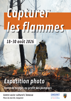 Affiche Capturer les flammes.png