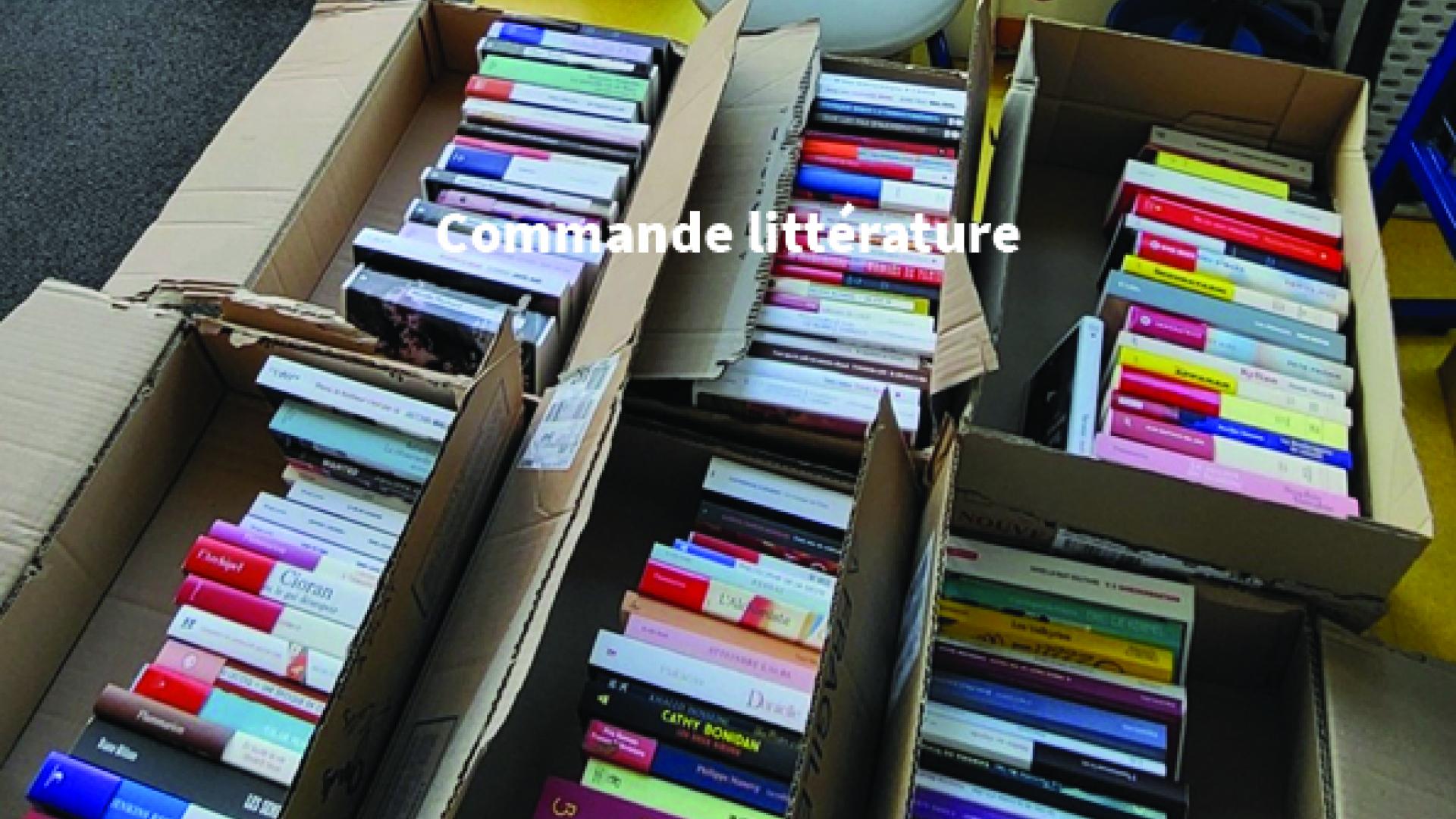commande littérature.1.JPG