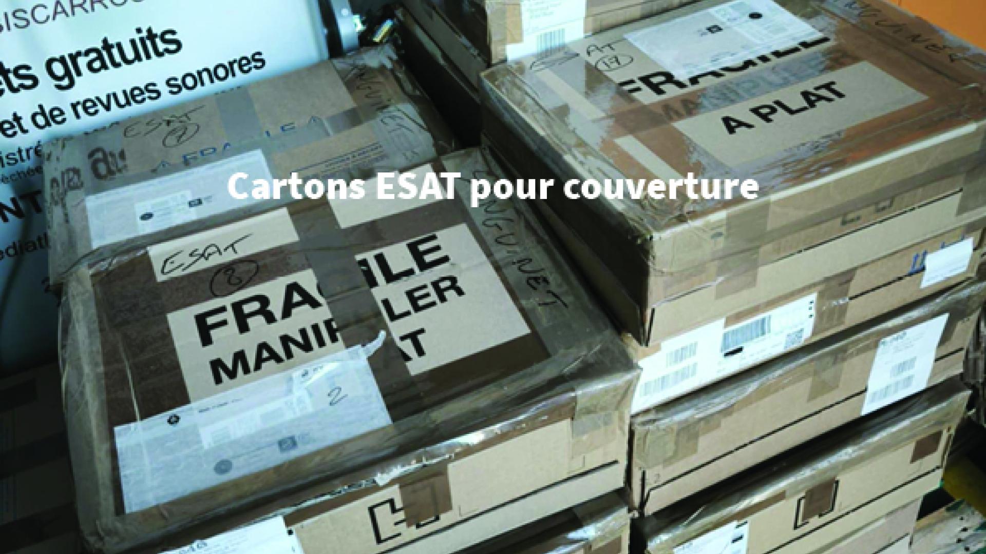 cartons ESAT pour couverture.1.jpg